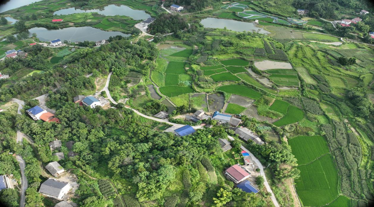 0ccd06457ab4c528ebe0a8f0206b049