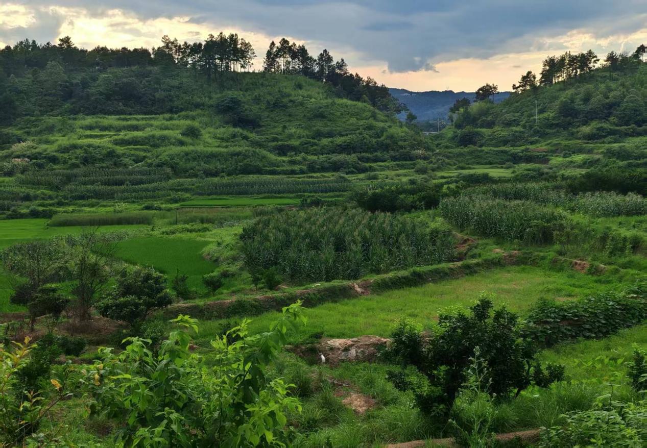 c4af76926393268293323f40156f1bb